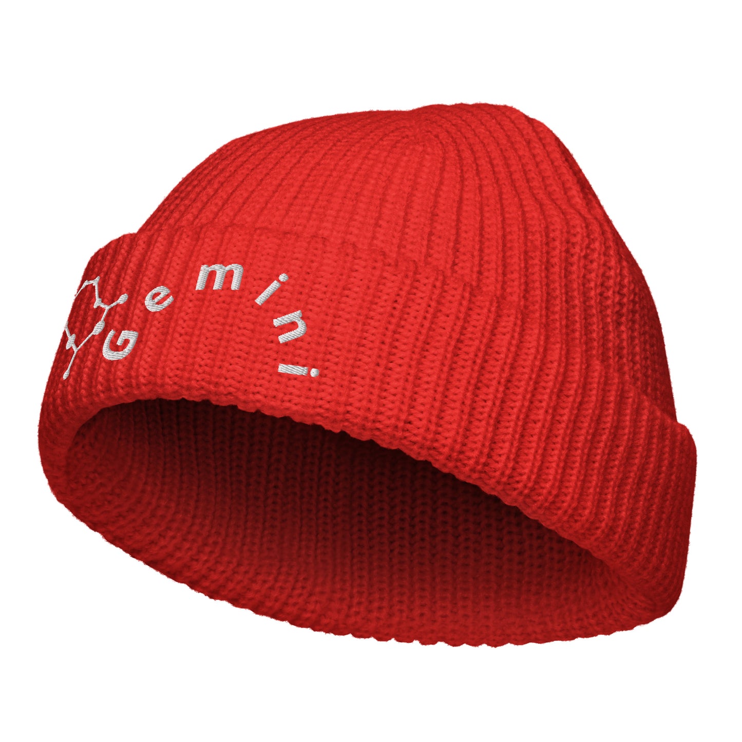 “Gemini” Fisherman Beanie