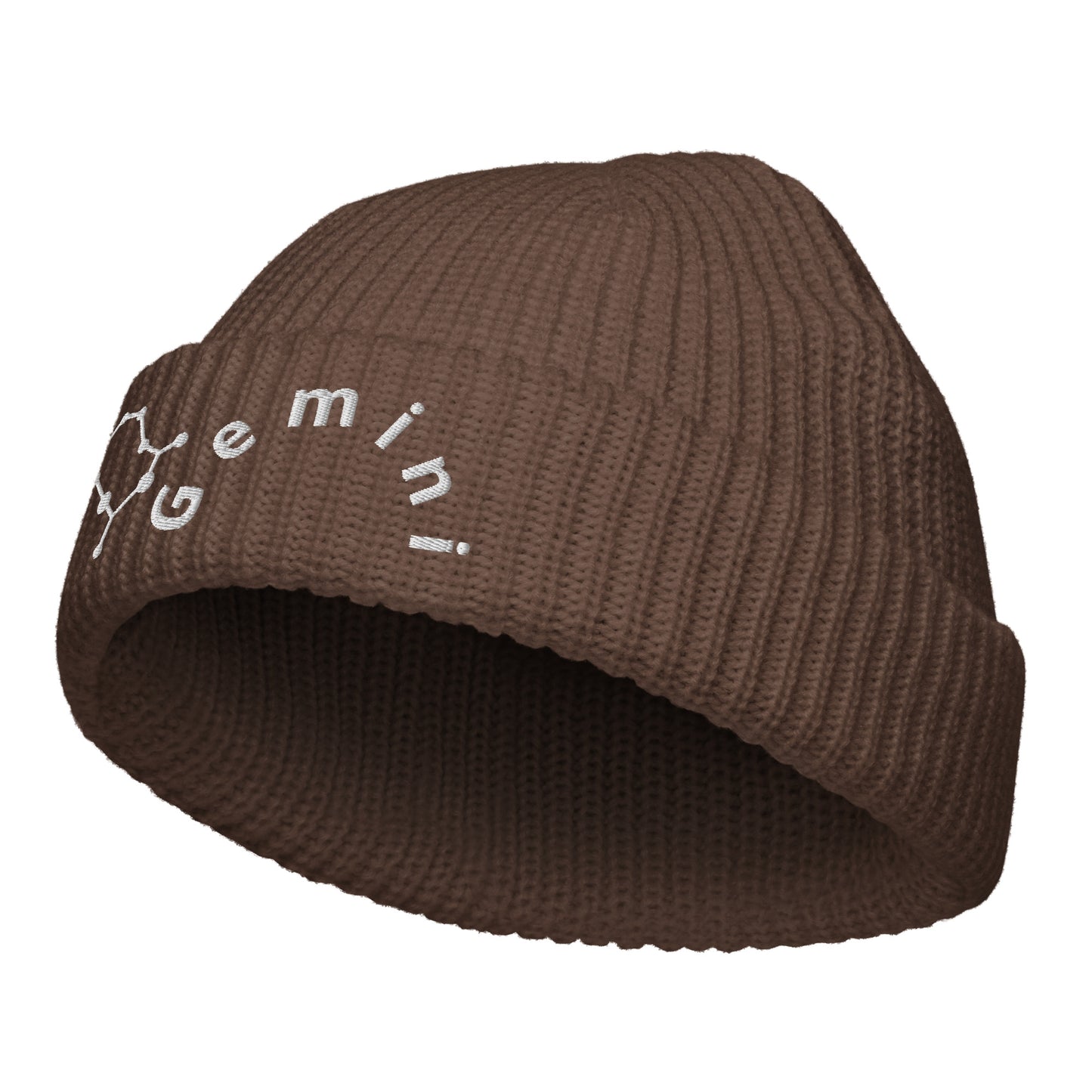 “Gemini” Fisherman Beanie