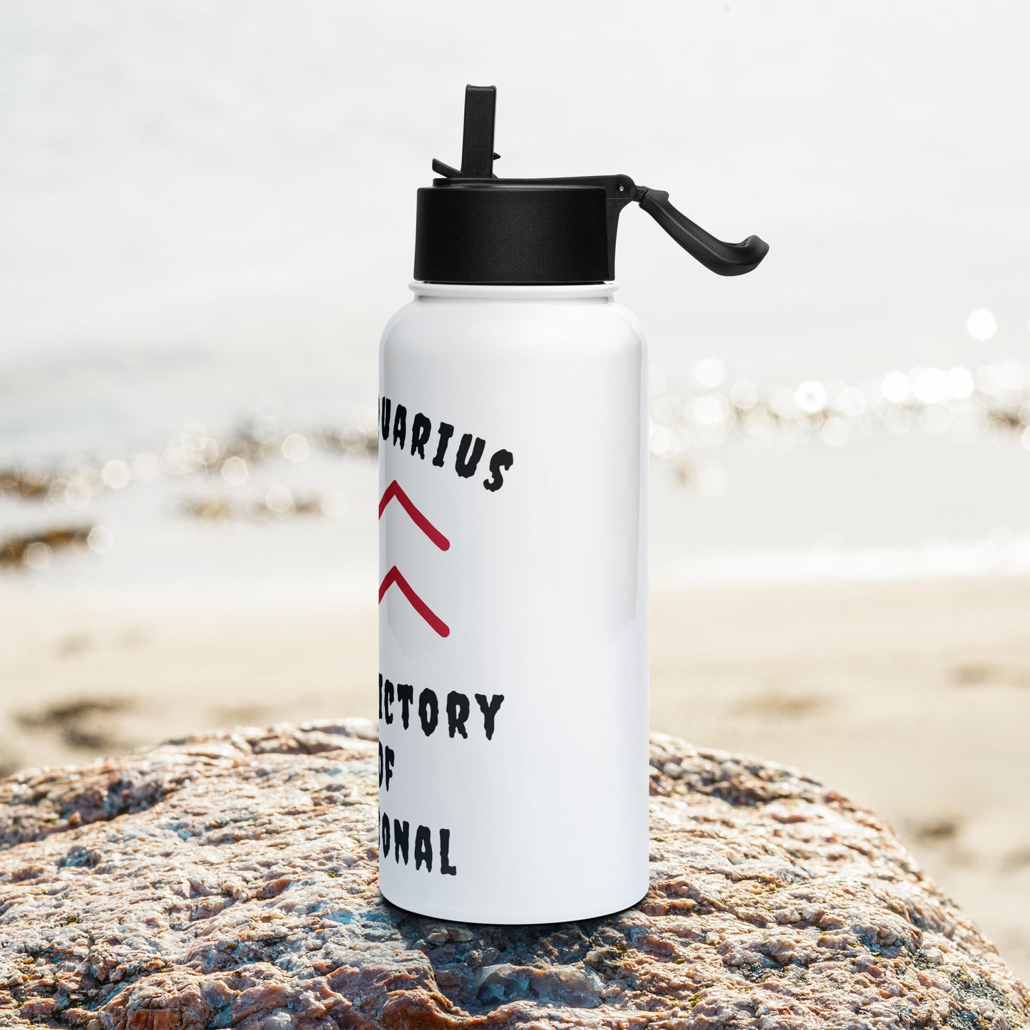 “Uh Oh, Aquarius” Stainless Steel Water Bottle With A Straw Lid