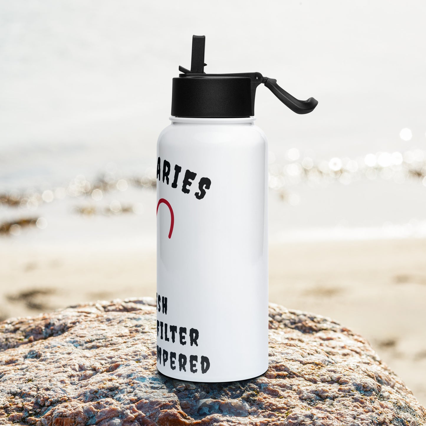 “Uh Oh, Aries” Stainless Steel Water Bottle With A Straw Lid