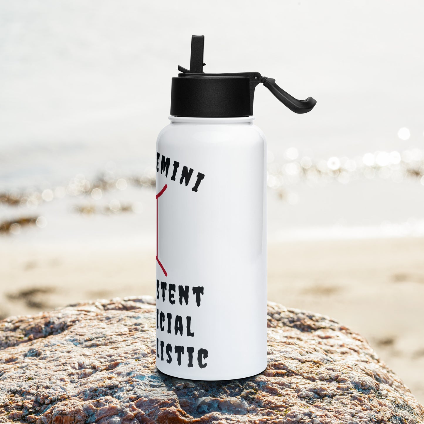 “Uh Oh, Gemini” Stainless Steel Water Bottle With A Straw Lid