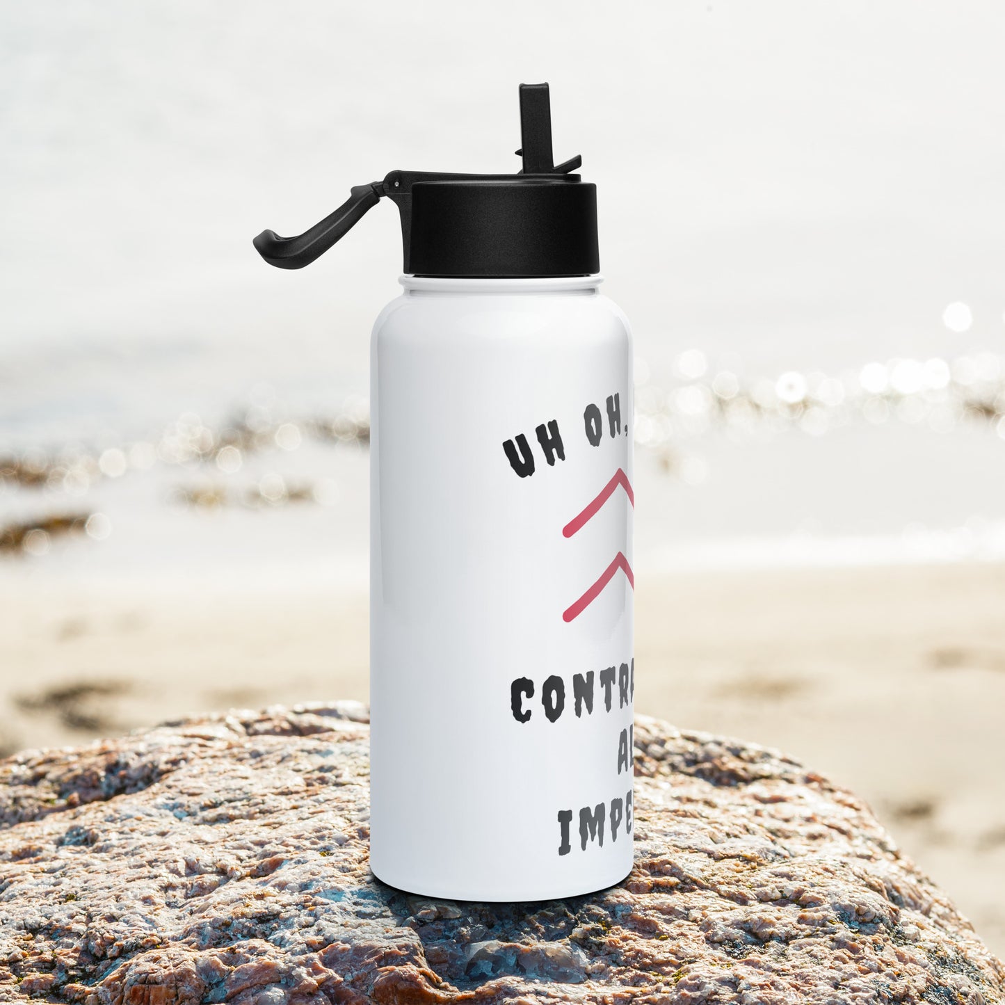 “Uh Oh, Aquarius” Stainless Steel Water Bottle With A Straw Lid