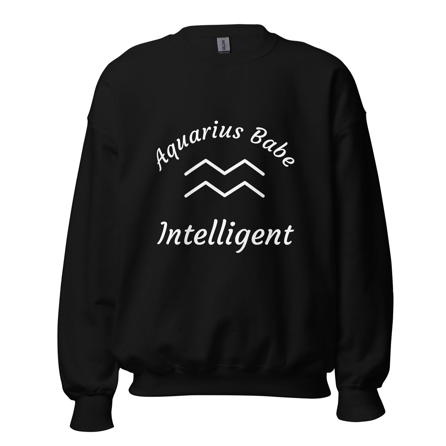 “Aquarius Babe” Unisex Sweatshirt