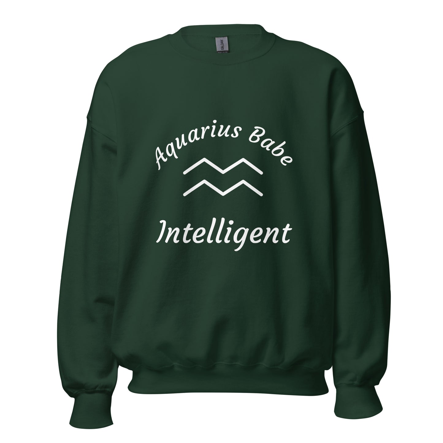 “Aquarius Babe” Unisex Sweatshirt