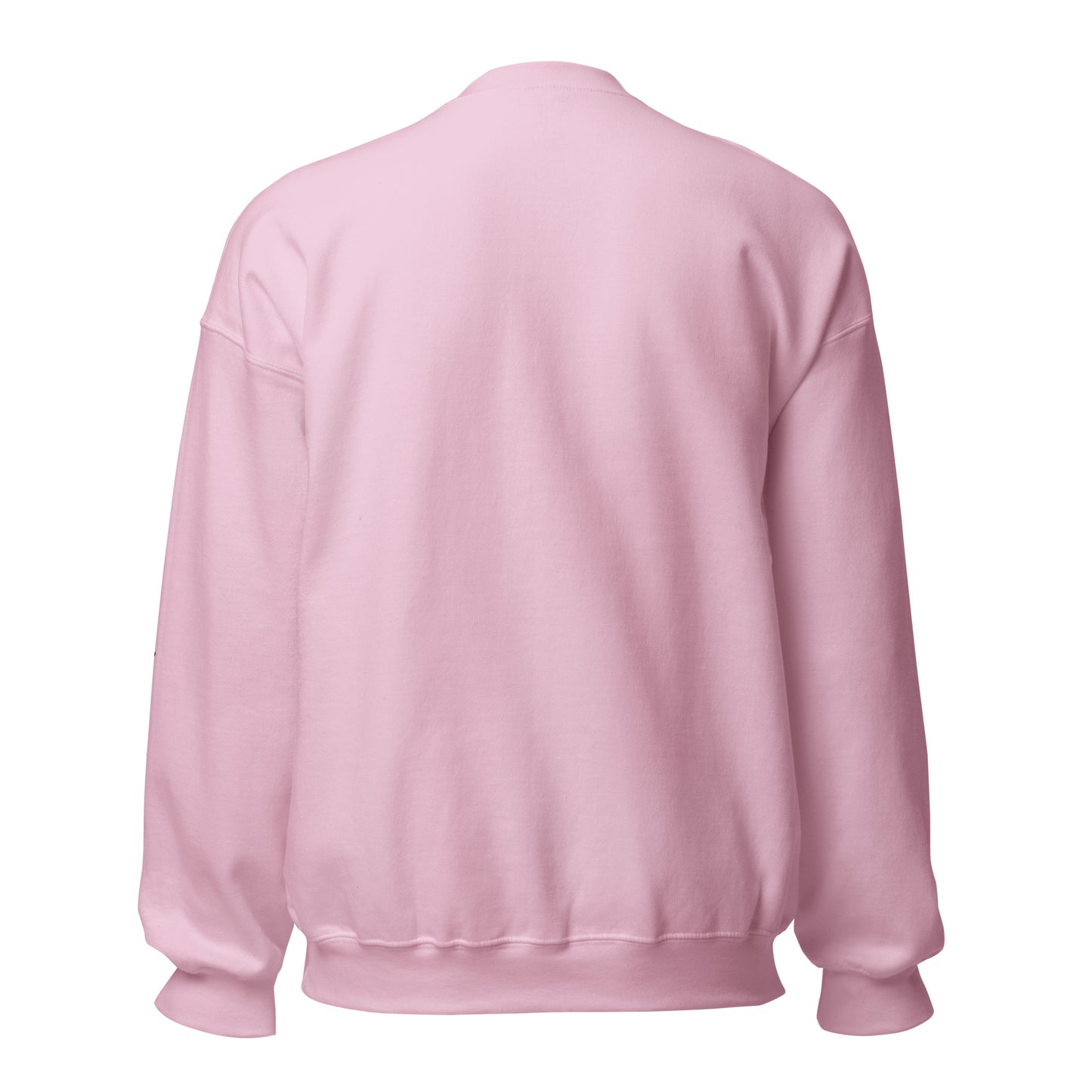 “Aquarius Babe” Unisex Sweatshirt