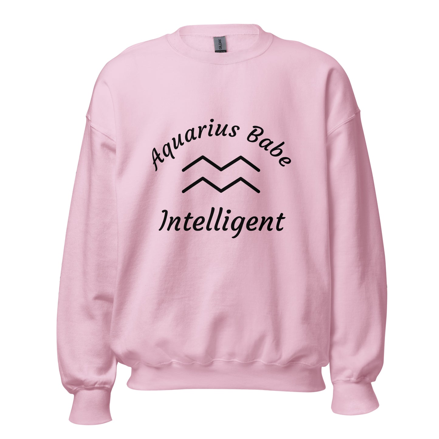 “Aquarius Babe” Unisex Sweatshirt