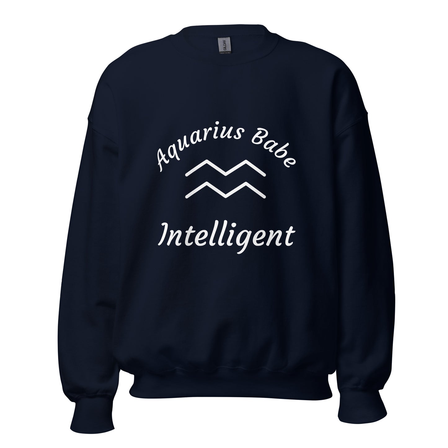 “Aquarius Babe” Unisex Sweatshirt