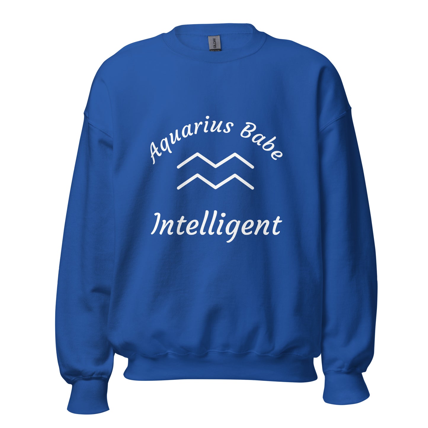 “Aquarius Babe” Unisex Sweatshirt