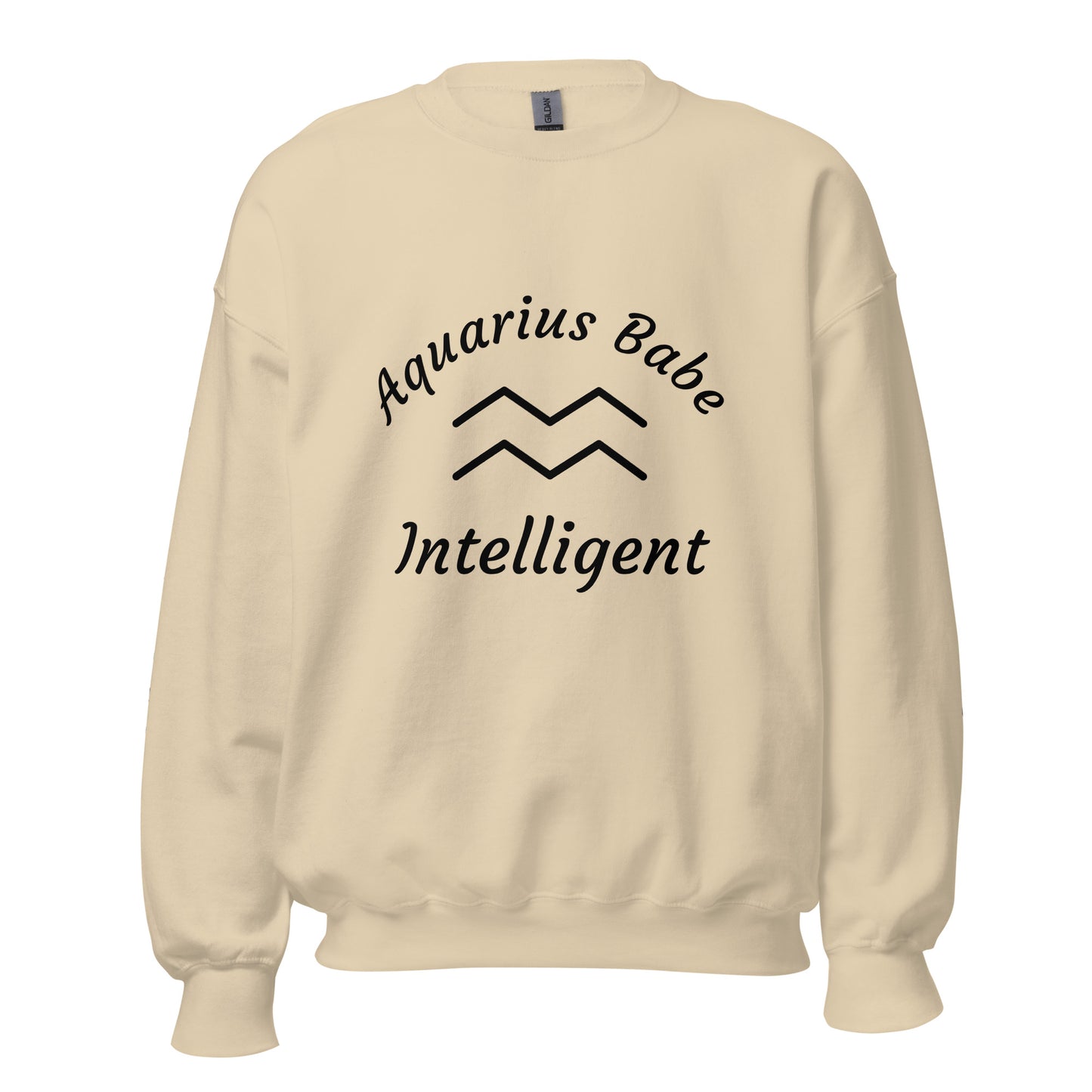 “Aquarius Babe” Unisex Sweatshirt