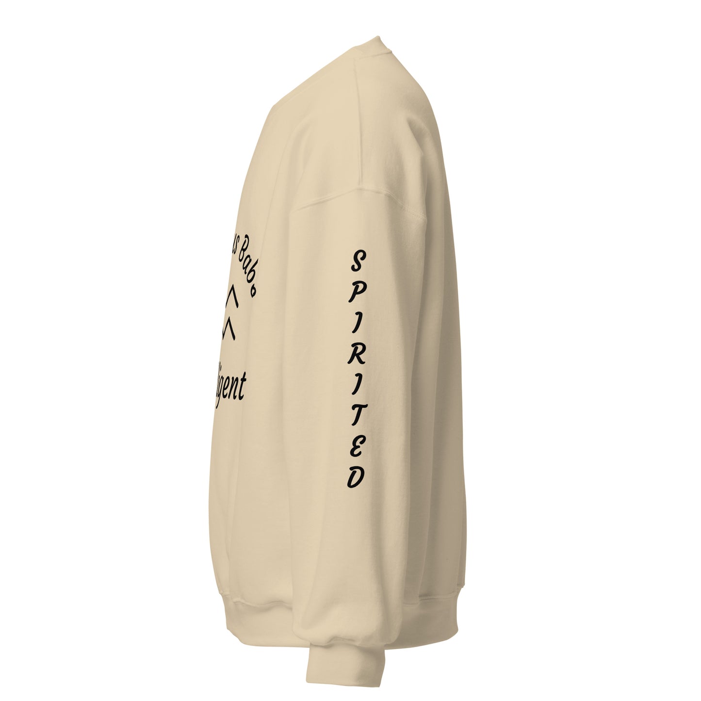 “Aquarius Babe” Unisex Sweatshirt