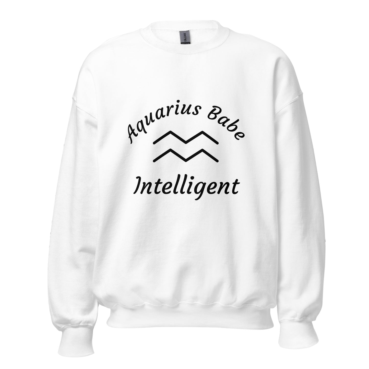 “Aquarius Babe” Unisex Sweatshirt