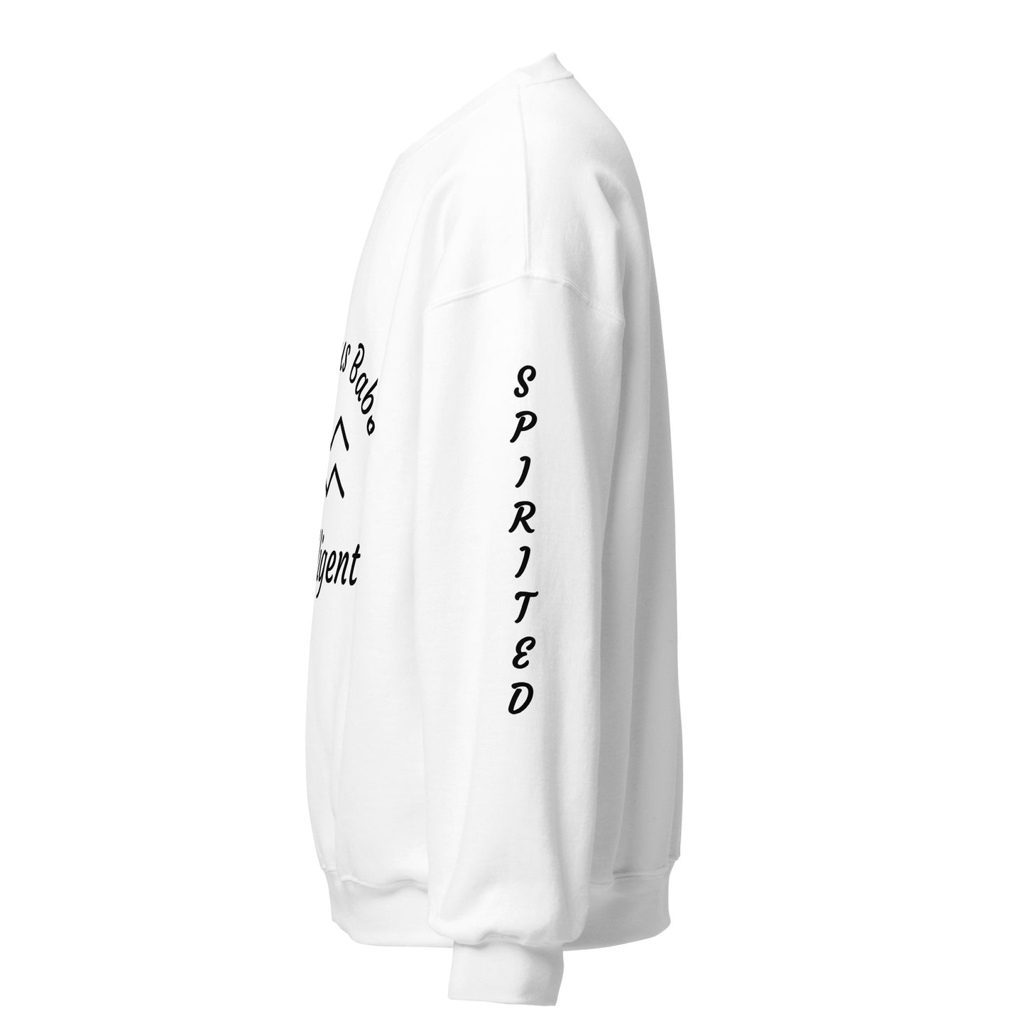 “Aquarius Babe” Unisex Sweatshirt