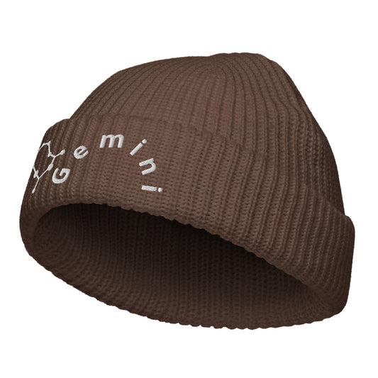 “Gemini” Fisherman Beanie