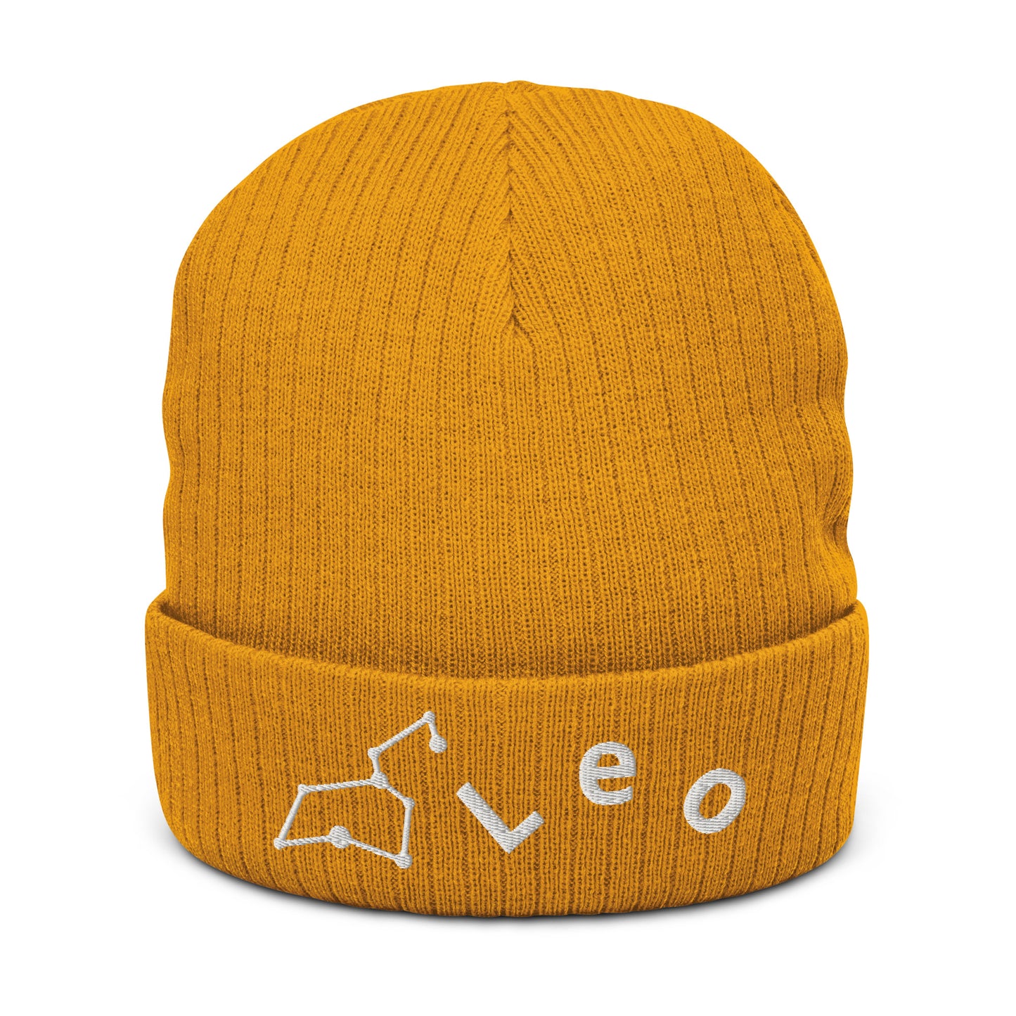 “Leo” Ribbed Knit Beanie