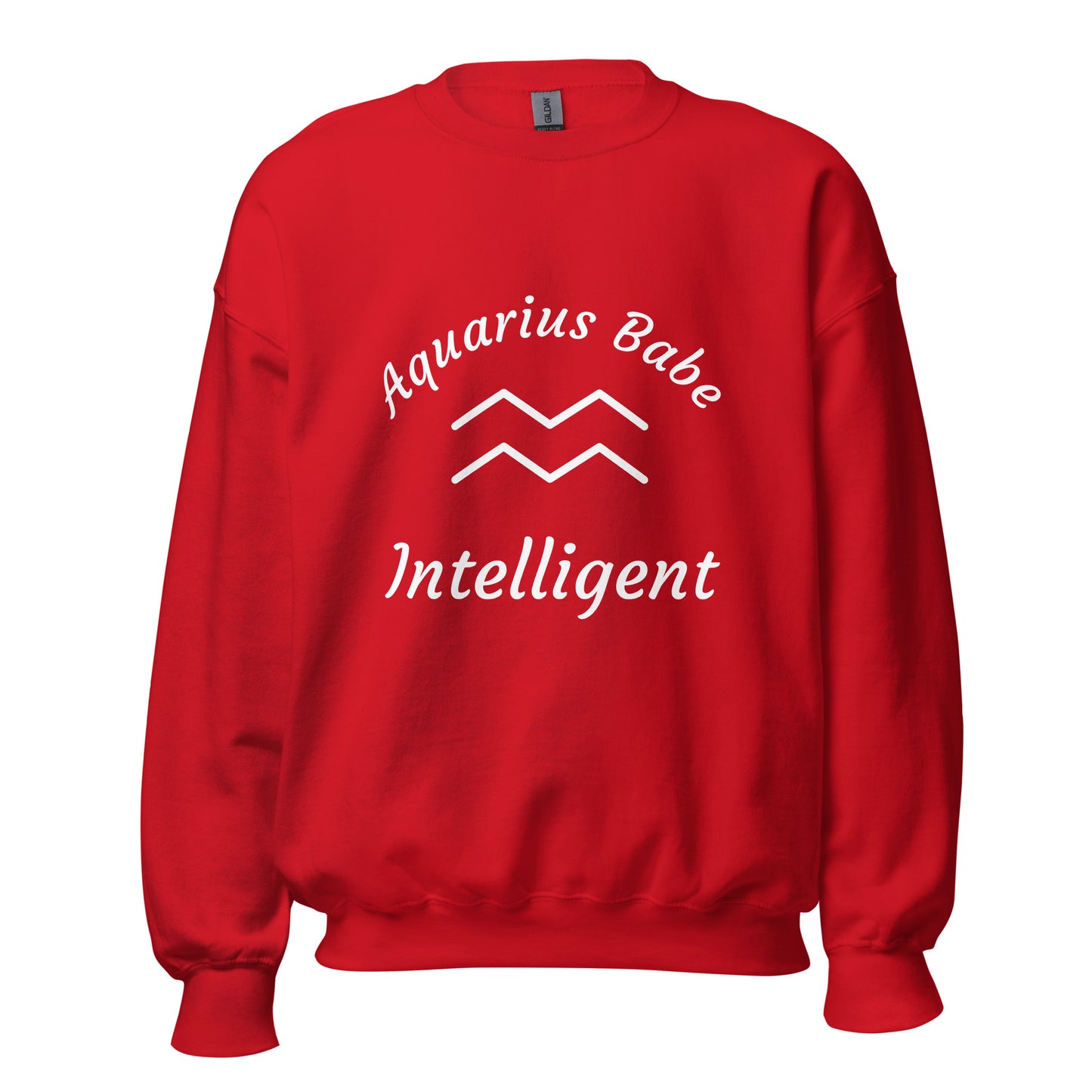 “Aquarius Babe” Unisex Sweatshirt